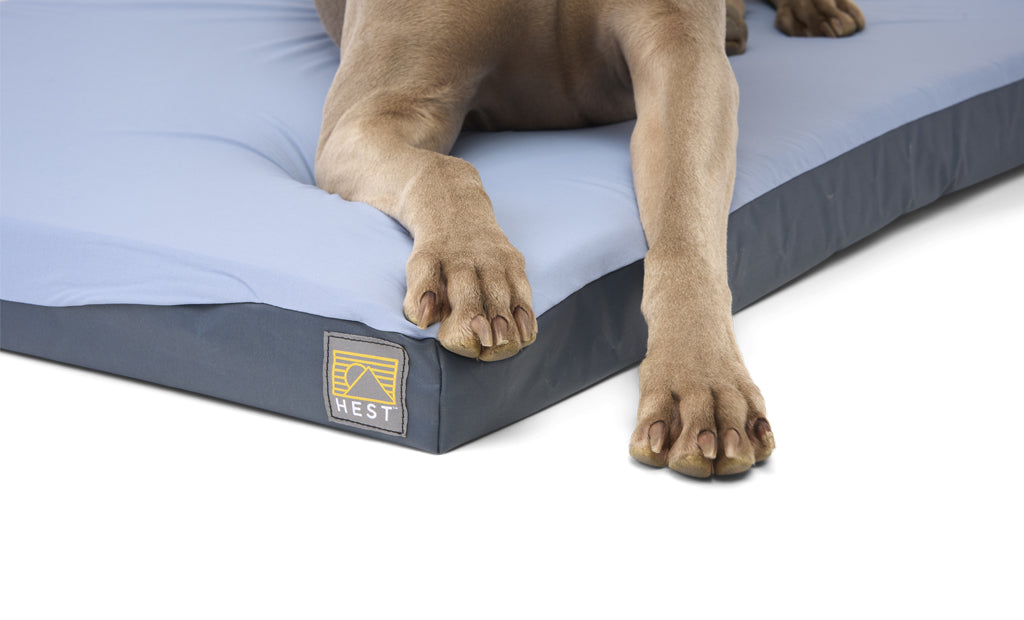HEST Dog Bed — Premium Memory Foam Camping Dog Bed