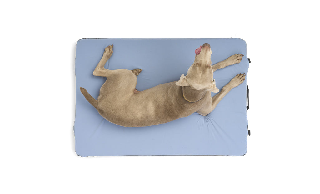 HEST Dog Bed — Premium Memory Foam Camping Dog Bed