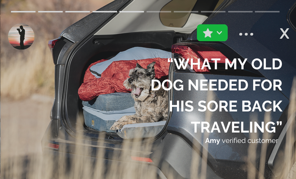 HEST Dog Bed — Premium Memory Foam Camping Dog Bed